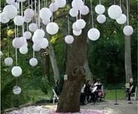 Budget Wedding Decor Idea