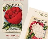 Seed Packet Save-the-Date idea