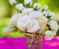 Summer Colour Inspiration