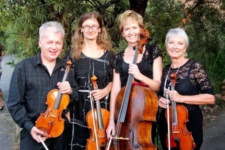 Promenade Ensemble | Classical Musicians